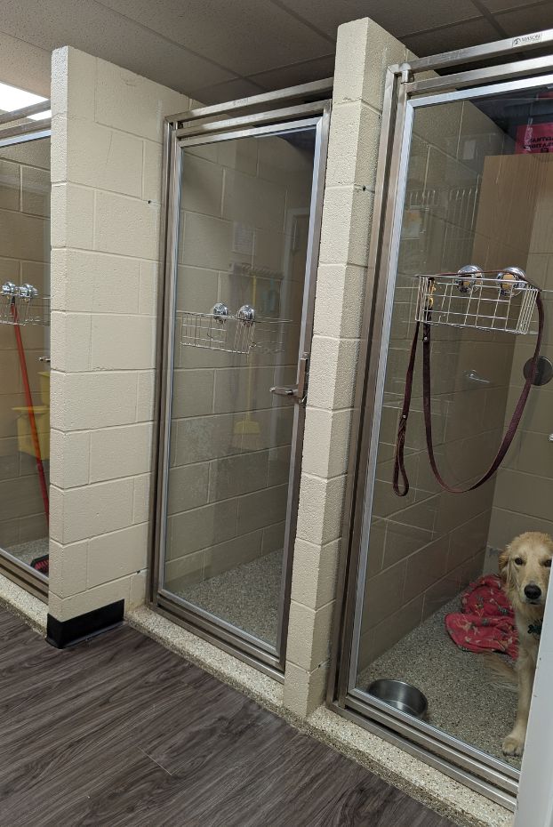 a dog sitting in a shower