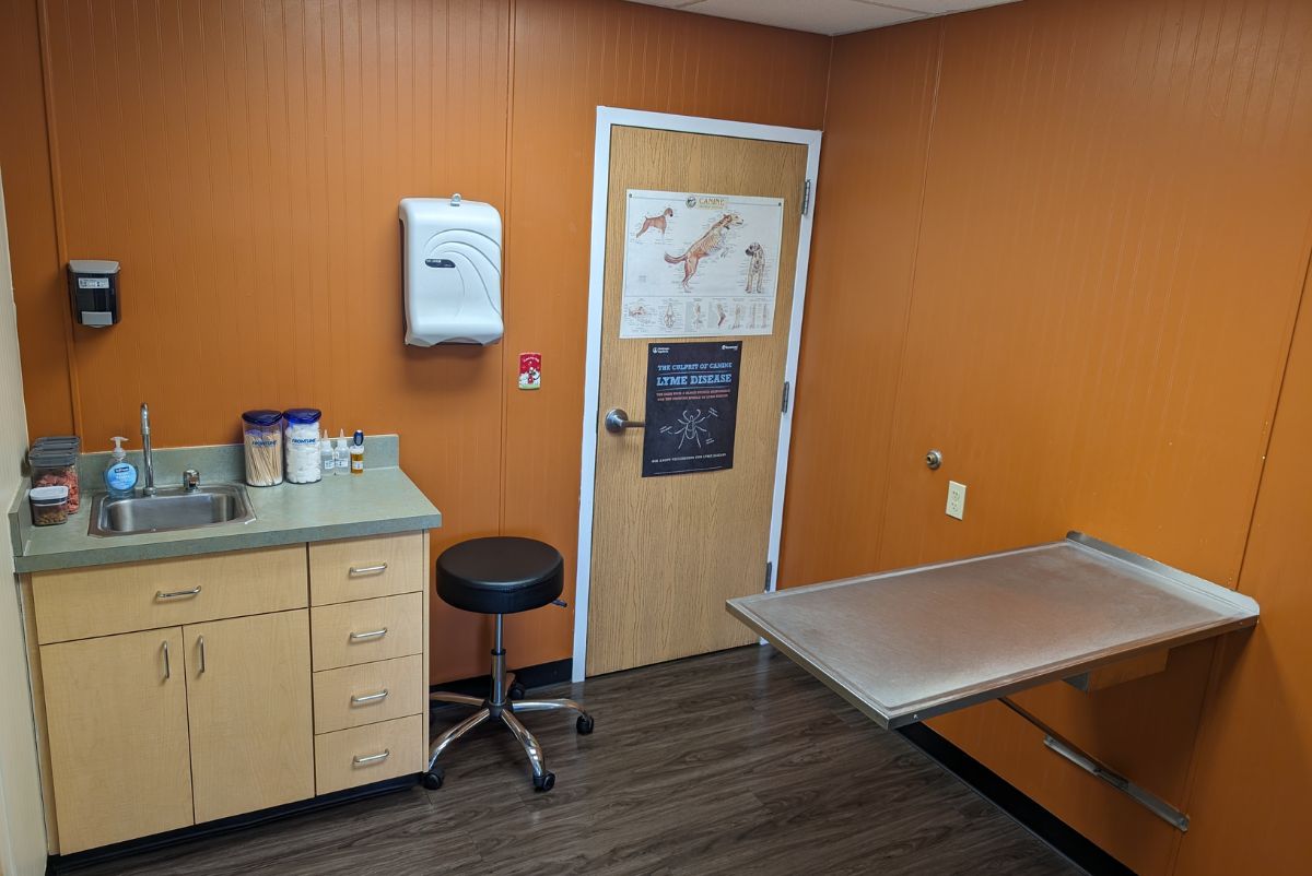 a room with a sink, a counter and a stool