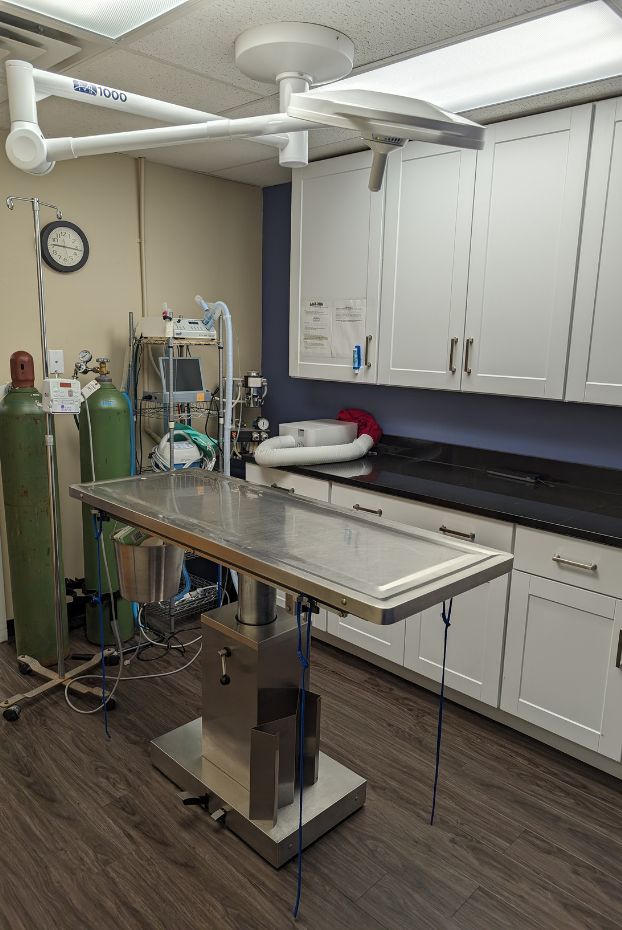 a hospital room with medical equipment and a sink