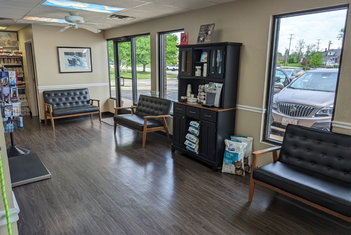 a waiting room with chairs and a book shelf